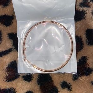 Stainless Steel Rose Gold Hoop Earrings